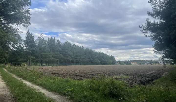 Działka rolno-budowlana Siedliska, ul. Pod Dębami