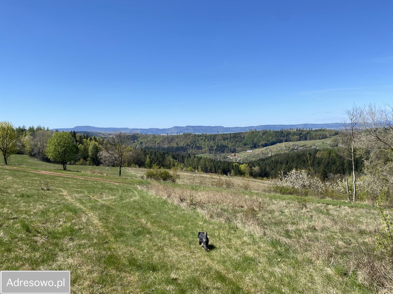 Działka rolno-budowlana Bieganów. Zdjęcie 14