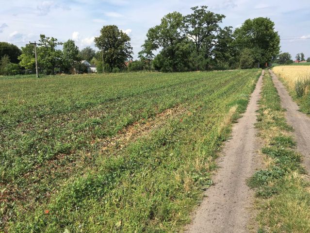 Działka rolno-budowlana Żukówka. Zdjęcie 1