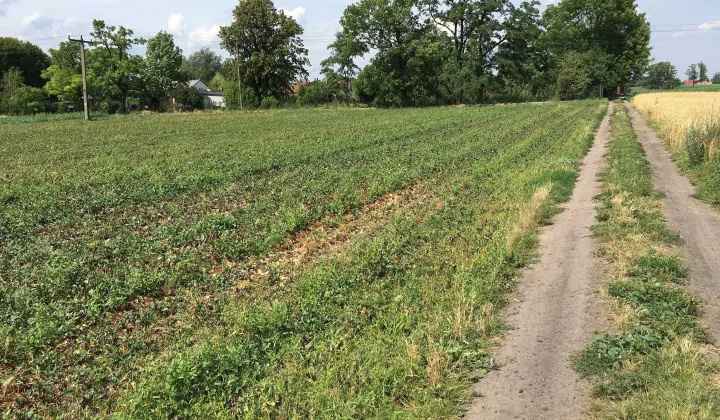 Działka rolno-budowlana Żukówka
