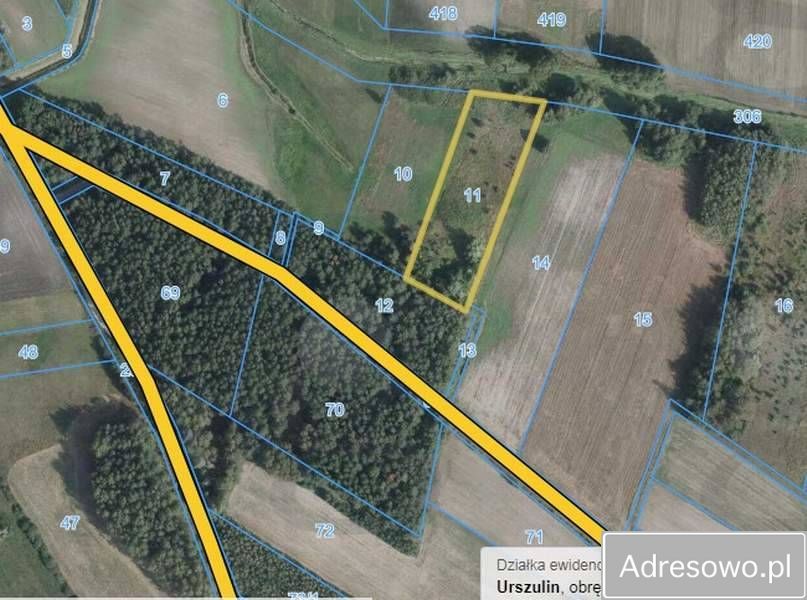 Działka rolna Zastawie. Zdjęcie 2