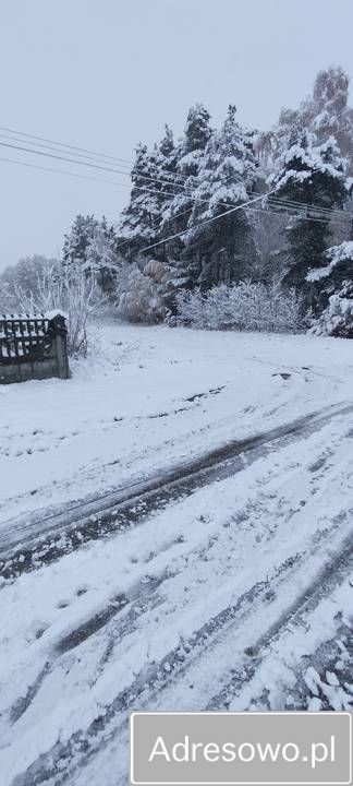 Działka rolna Lisewo. Zdjęcie 4