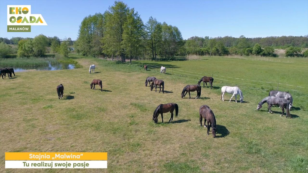 Działka budowlana Malanów. Zdjęcie 10