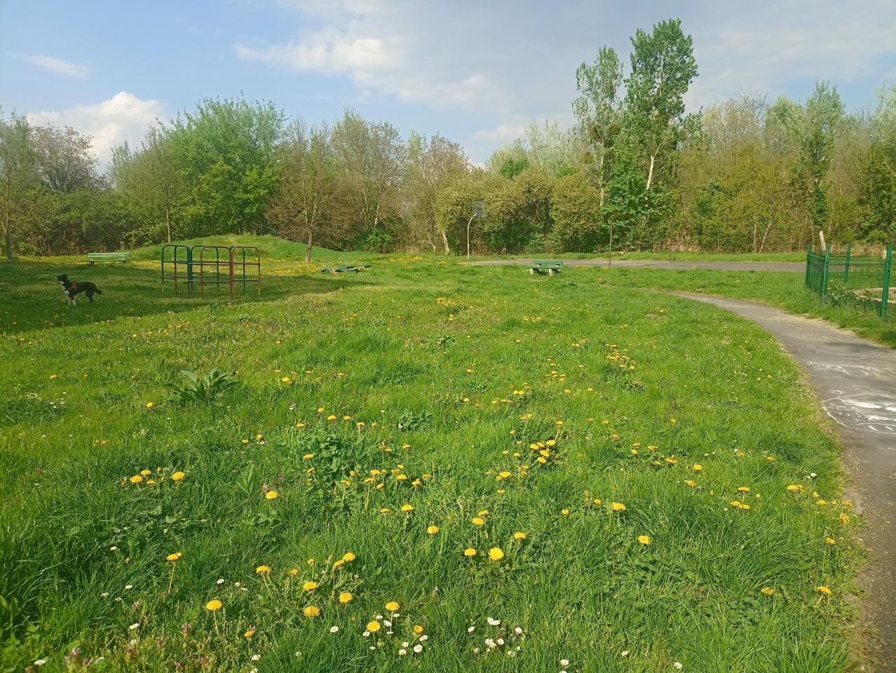 Mieszkanie 3-pokojowe Wrocław Sołtysowice, al. Poprzeczna. Zdjęcie 16