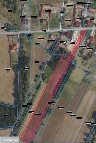 Działka rolna Wola Ręczajska. Zdjęcie 1