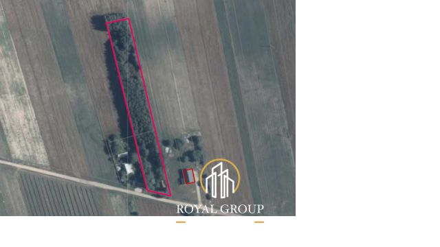 Działka siedliskowa Gołąb. Zdjęcie 8