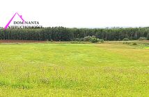 Działka rolna Gronowo