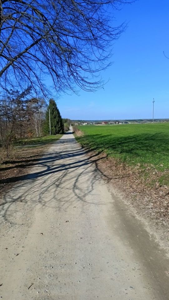 Działka rolno-budowlana Tychów Stary. Zdjęcie 5