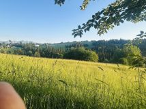 Działka budowlana Czerwienne. Zdjęcie 2