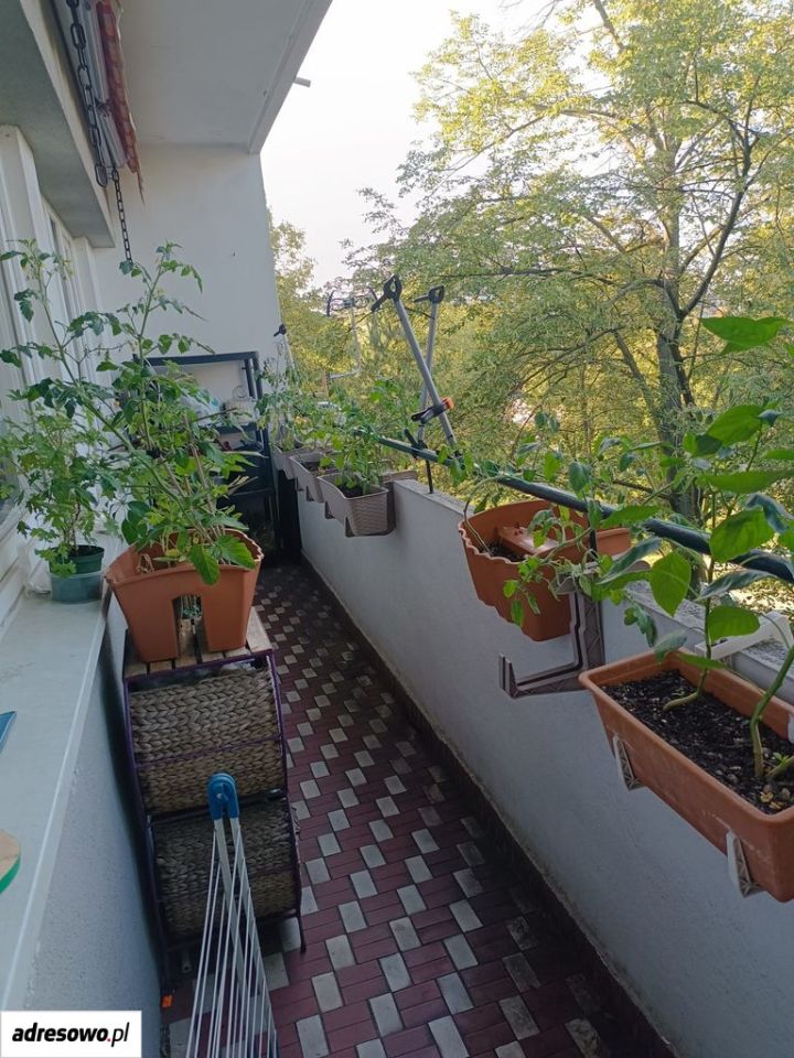 Mieszkanie 3-pokojowe Warszawa Żoliborz, ul. Zygmunta Krasińskiego. Zdjęcie 2