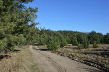 Działka budowlana Gąsiorowo. Zdjęcie 2