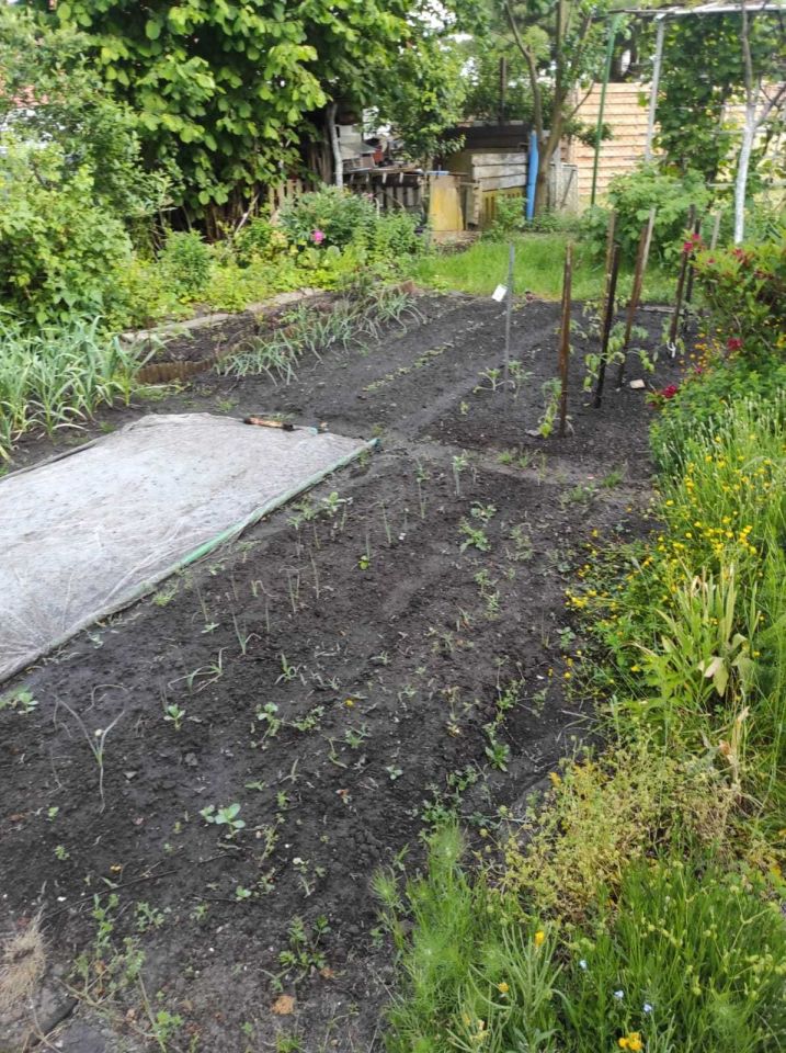 Działka rod Wrocław Wojszyce, ul. Świt. Zdjęcie 3