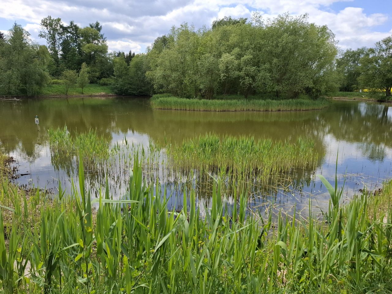 dom wolnostojący, 6 pokoi Siemianowice Śląskie Pszczelnik, ul. Żurawia. Zdjęcie 26