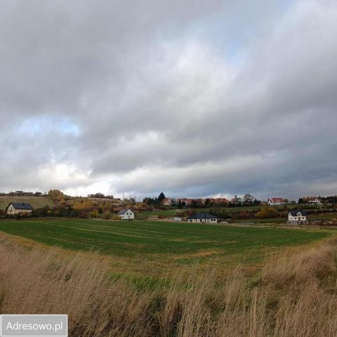 Działka budowlana Nowa Ruda, ul. Wrzosowa. Zdjęcie 1