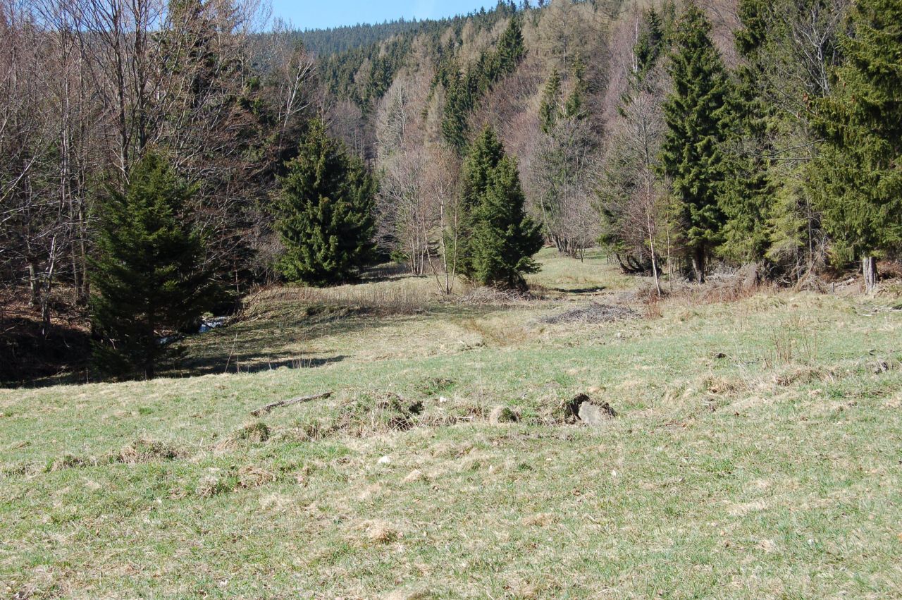 Działka rolna Jarkowice. Zdjęcie 2