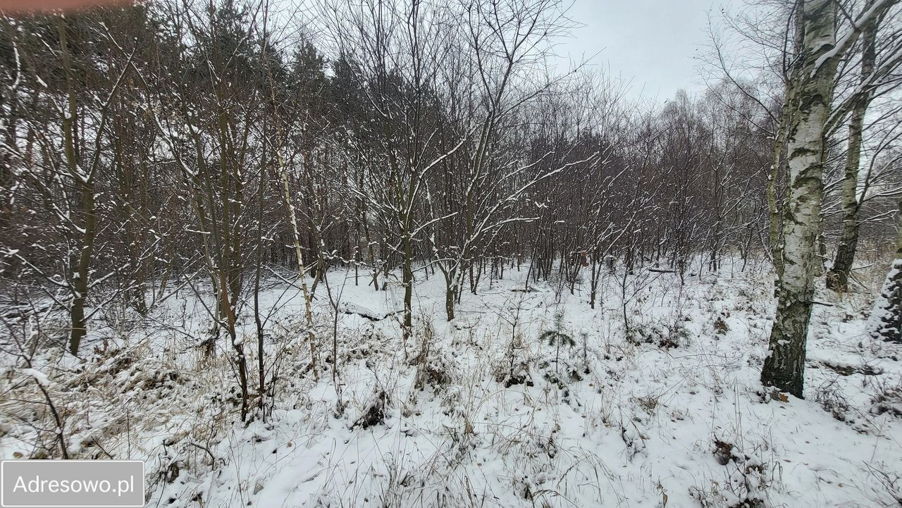 Działka budowlana Częstochowa Kiedrzyn, ul. Józefa Parczyńskiego. Zdjęcie 2
