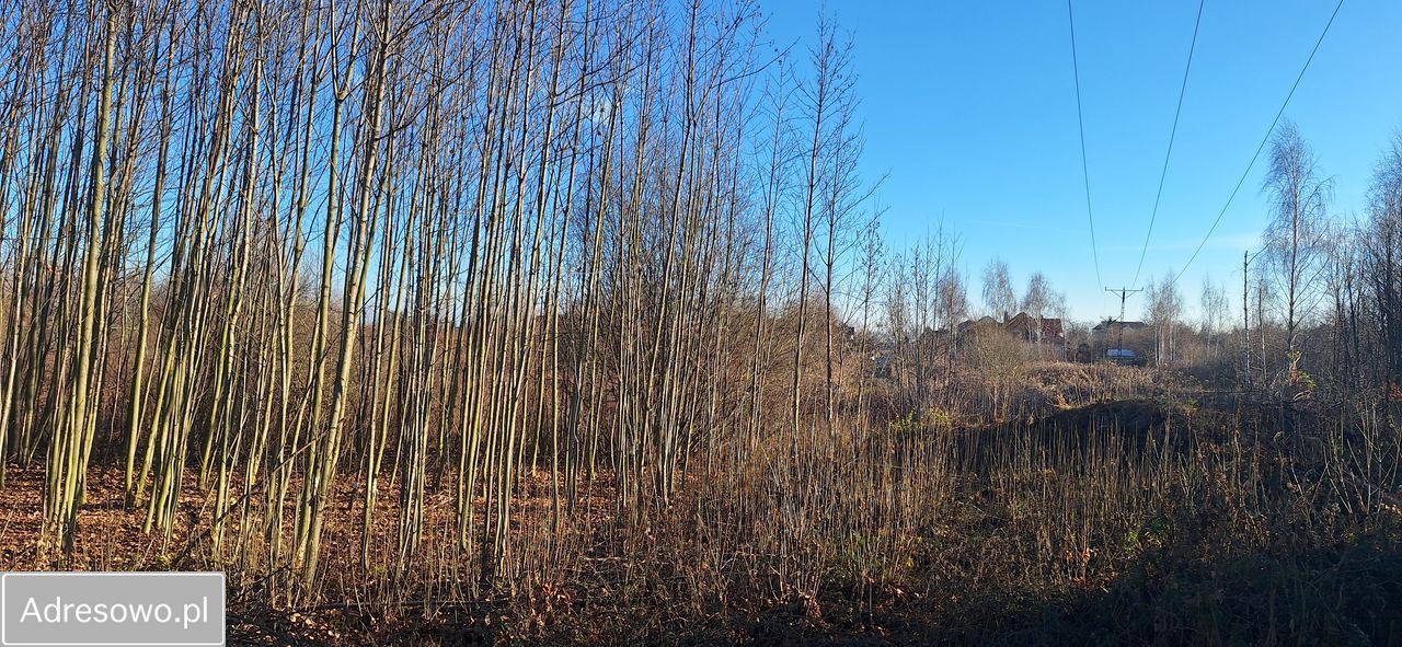 Działka budowlana Żerniki Wrocławskie, ul. Jastrzębia. Zdjęcie 9