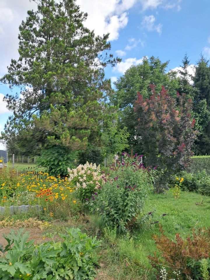 Działka rod Zamość, ul. Czesława Miłosza. Zdjęcie 8