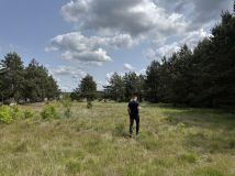 Działka budowlana Szkocja, ul. Różana. Zdjęcie 2