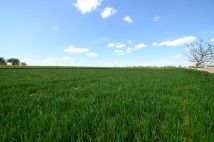 Działka budowlana Podole Podole Drugie. Zdjęcie 3