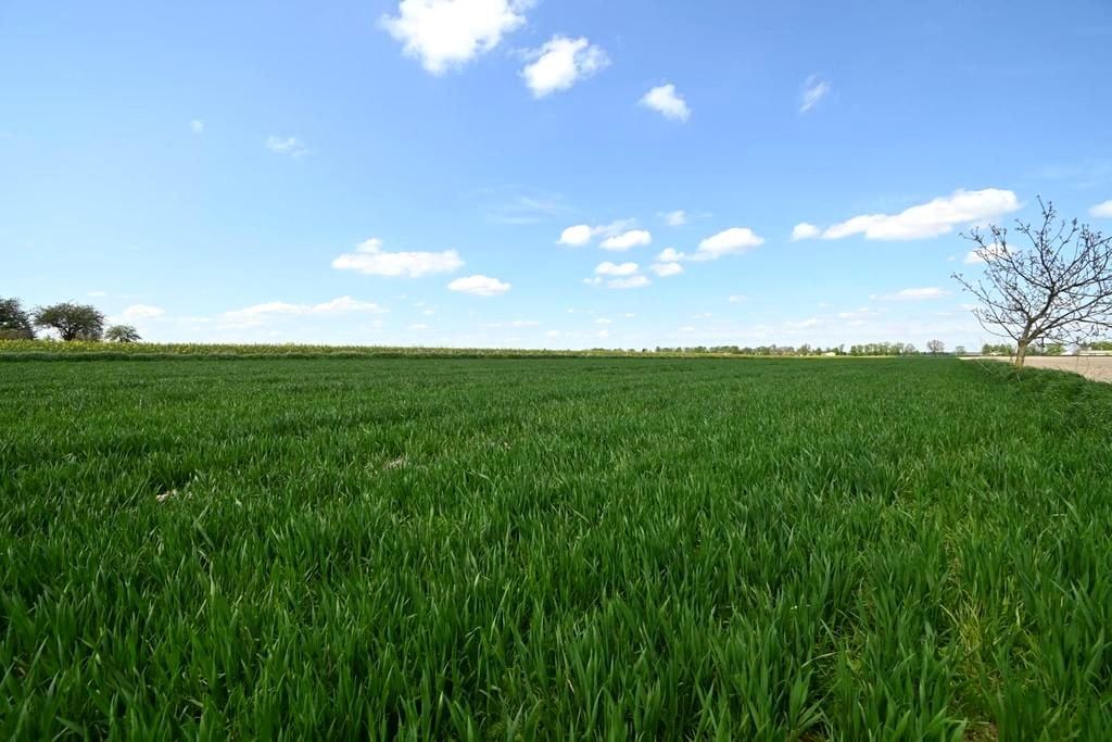 Działka budowlana Podole Podole Drugie. Zdjęcie 4