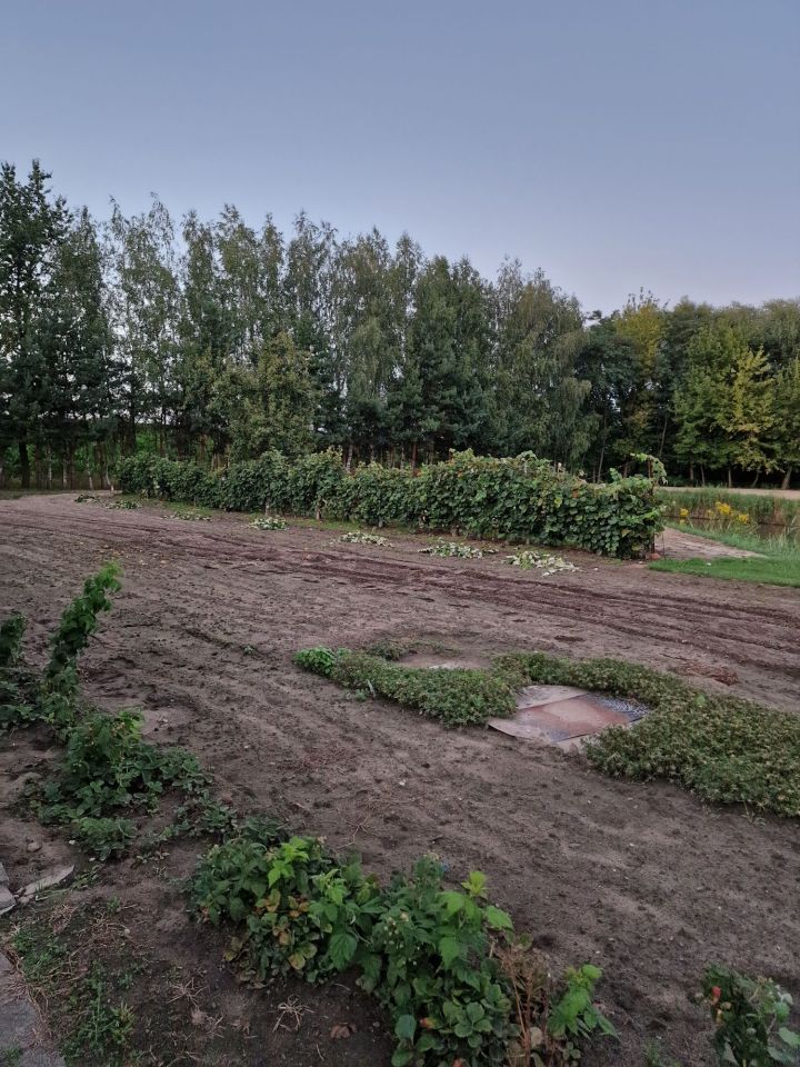 siedlisko Bielawa. Zdjęcie 2