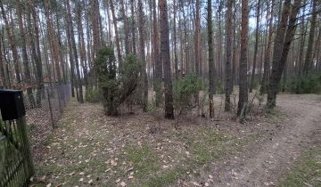 Działka leśna Krajęczyn