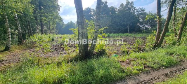 Działka budowlana Bratucice. Zdjęcie 4