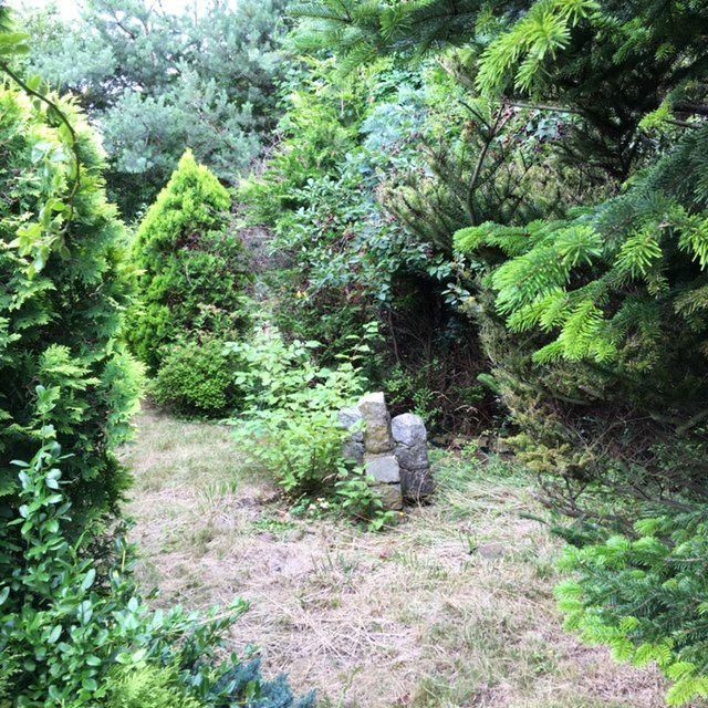 Działka rod Wrocław Stare Miasto, ul. Góralska. Zdjęcie 15