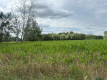 Działka rolna Kopiska. Zdjęcie 4