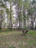 Działka rekreacyjna Grabniak. Zdjęcie 3
