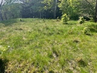 Działka budowlana Szklarska Poręba Szklarska Poręba Górna, ul. Hugona Kołłątaja. Zdjęcie 2