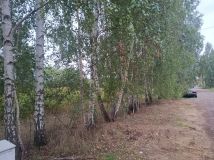 Działka budowlana Paprotnia, ul. Leśna. Zdjęcie 1