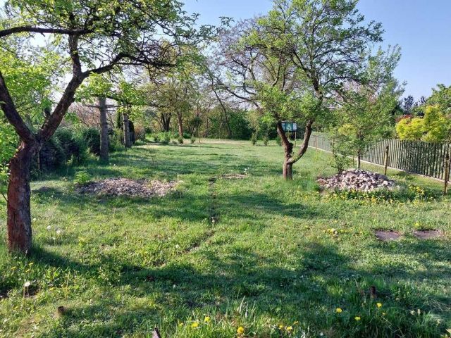 Działka rod Kraków Bielany, ul. Krucza. Zdjęcie 1