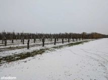 Działka budowlana Stok Lacki. Zdjęcie 2