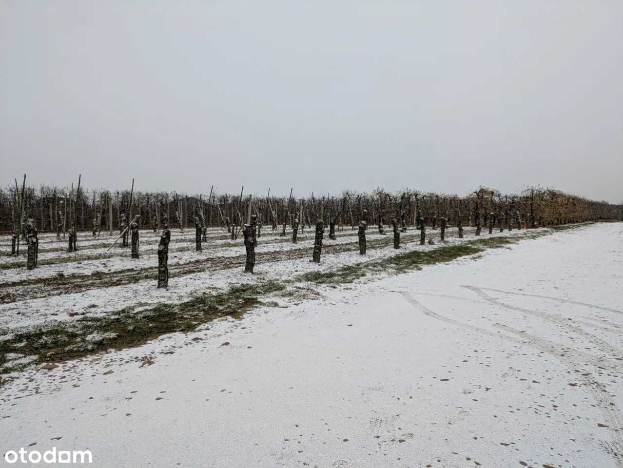 Działka budowlana Stok Lacki. Zdjęcie 3