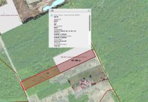 Działka inwestycyjna Lipsko-Polesie. Zdjęcie 1