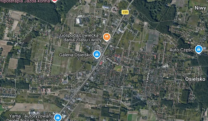 Lokal Osielsko, ul. Centralna