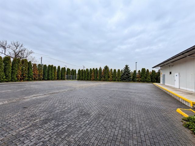 Hala/magazyn Sosnowiec Pogoń, ul. Plonów. Zdjęcie 2