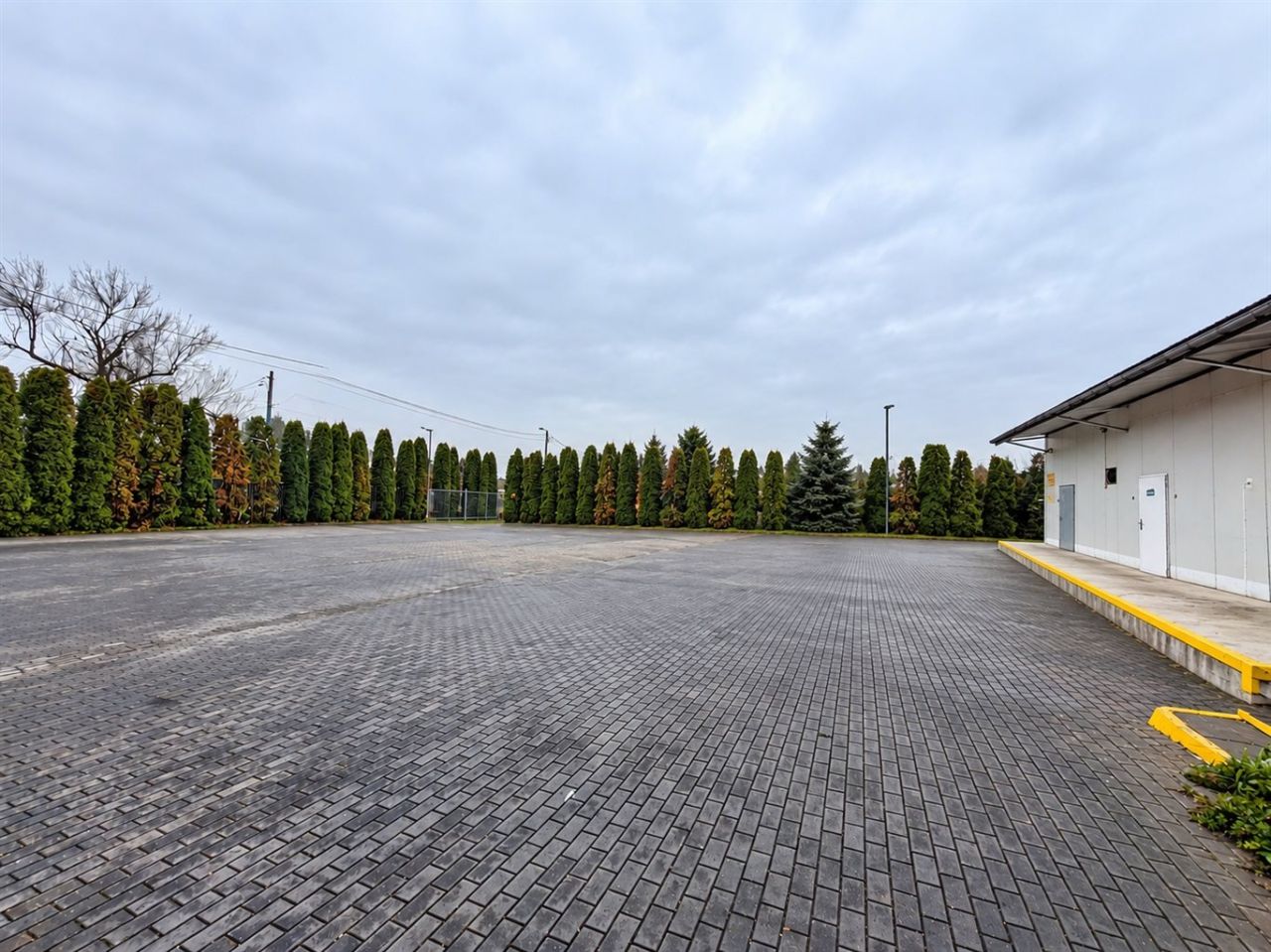 Hala/magazyn Sosnowiec Pogoń, ul. Plonów. Zdjęcie 2