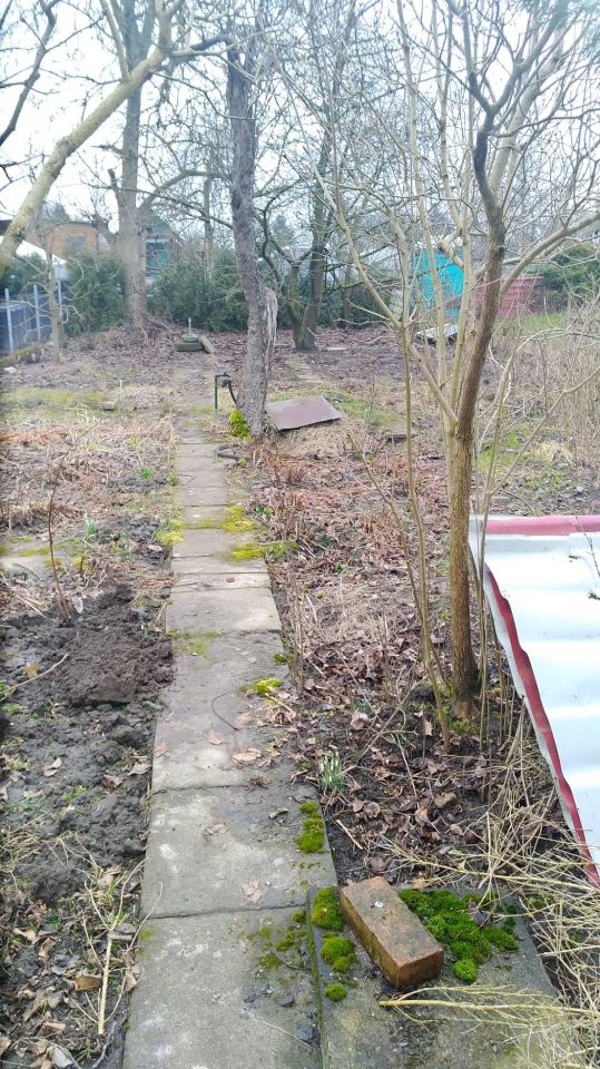 Działka rod Szczecin Warszewo. Zdjęcie 4