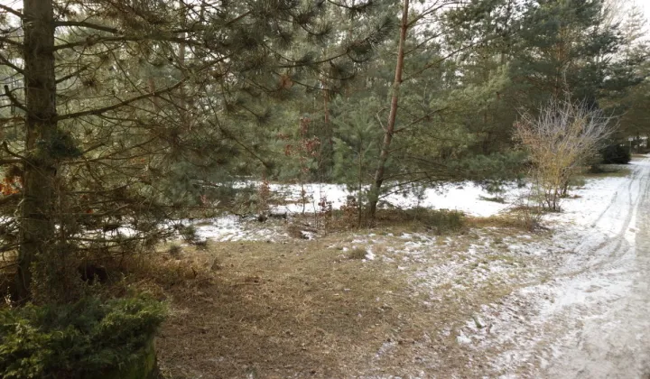 Działka budowlana Nekielka, ul. Kwiatowa