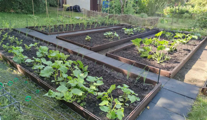 Działka rod Wrocław Ołtaszyn