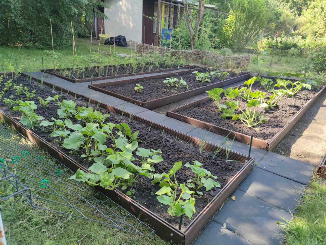 Działka rod Wrocław Ołtaszyn. Zdjęcie 1