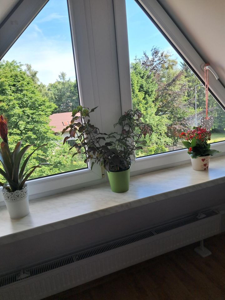 Mieszkanie 3-pokojowe Czersk, Klonowa. Zdjęcie 8