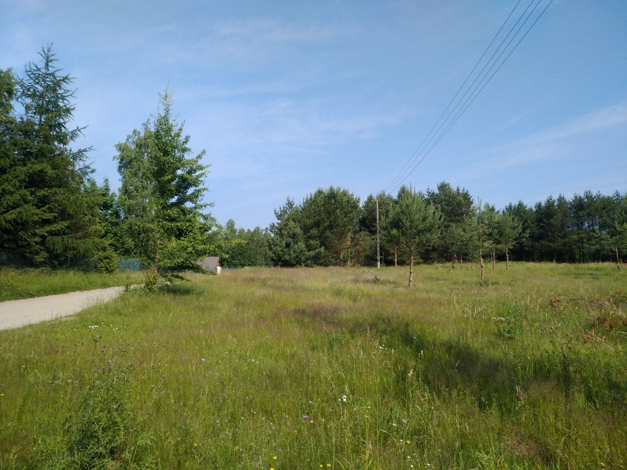 Działka budowlana Bartoszylas. Zdjęcie 6