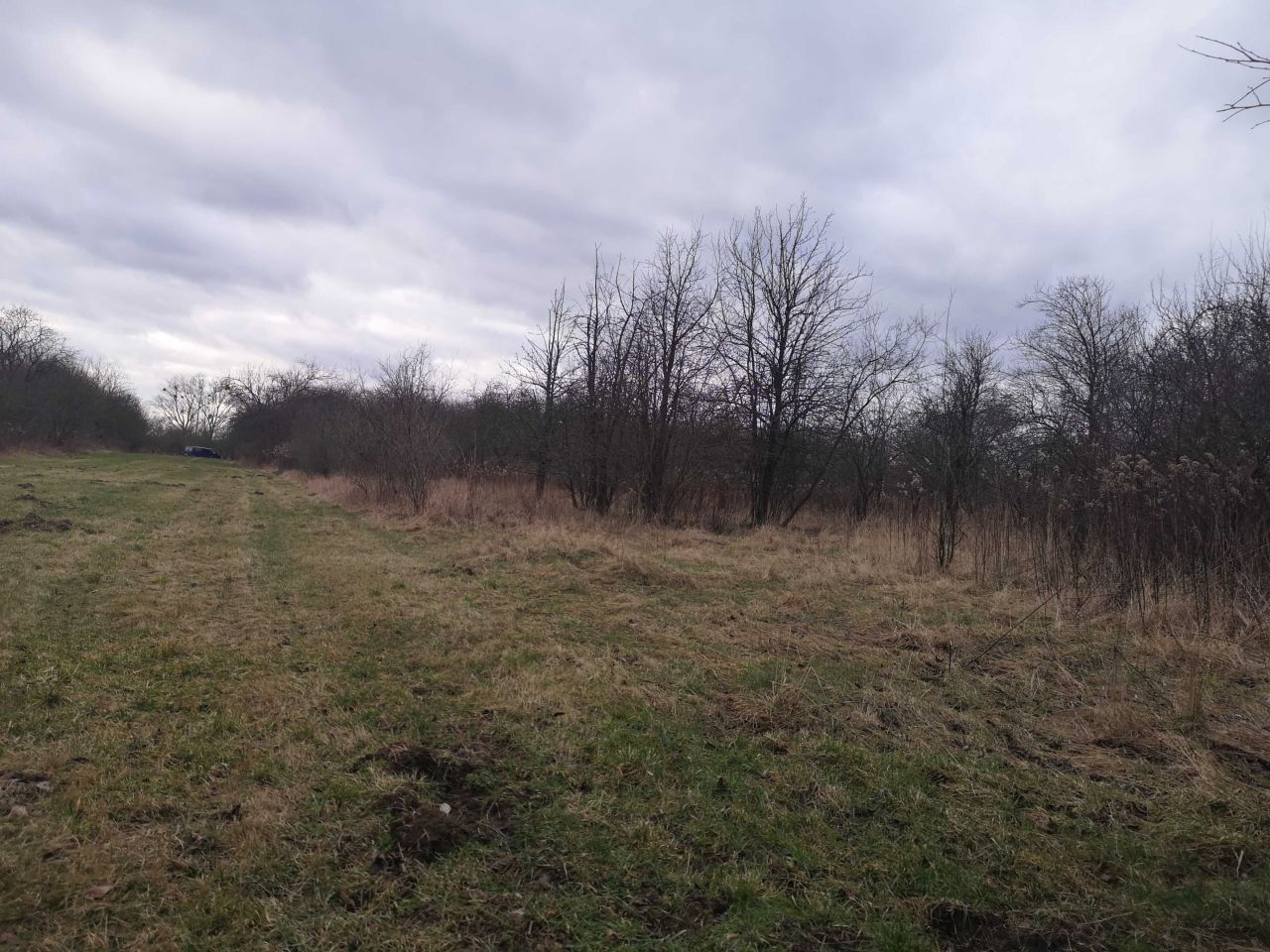 Działka rolno-budowlana Nadbrzeż. Zdjęcie 6