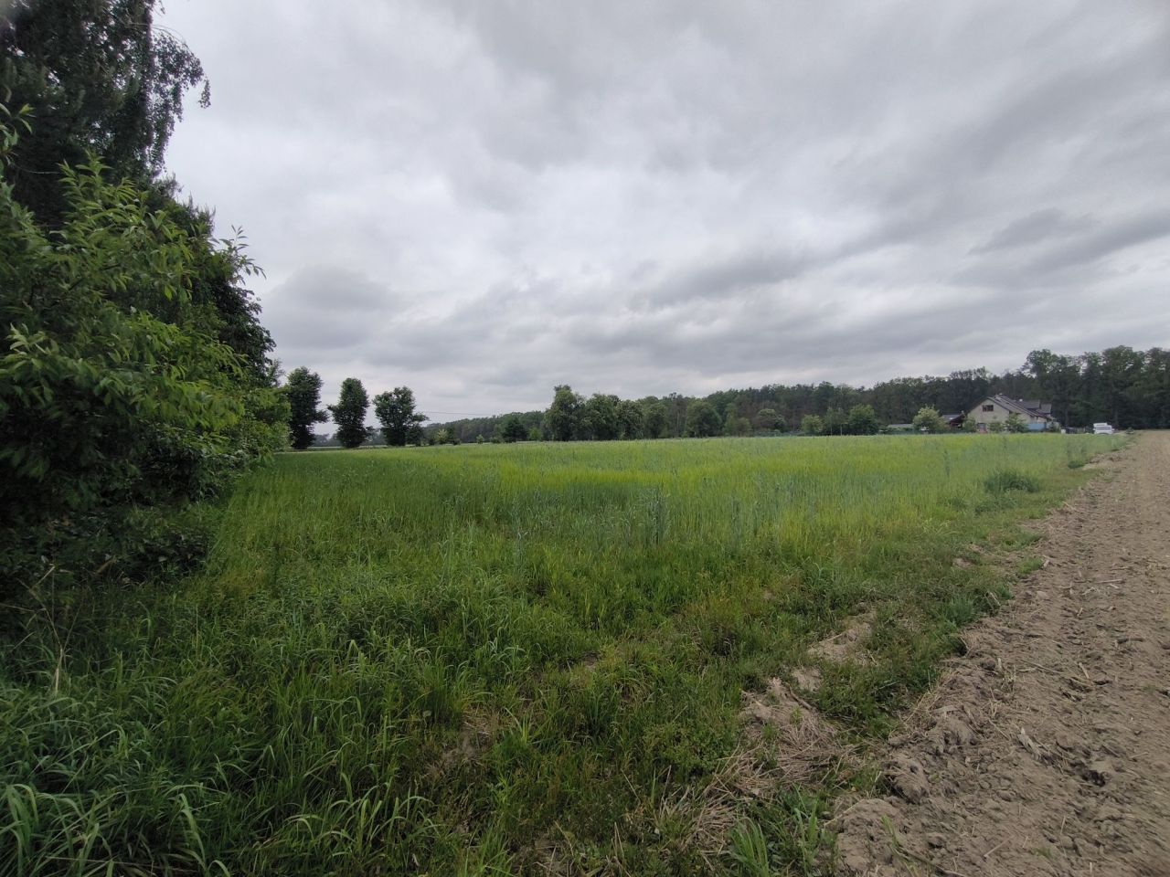 Działka siedliskowa Siedliska, ul. Pod Dębami. Zdjęcie 4