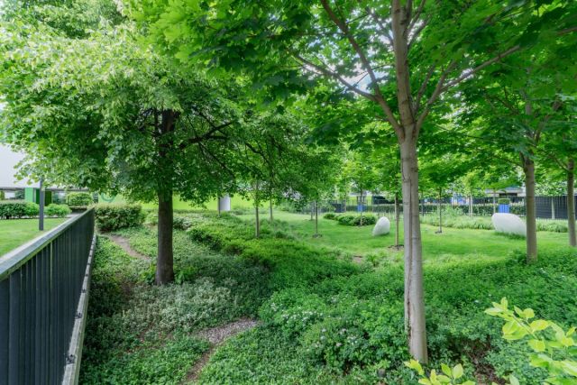 Mieszkanie 2-pokojowe Warszawa Żoliborz, ul. Kaliny Jędrusik. Zdjęcie 19