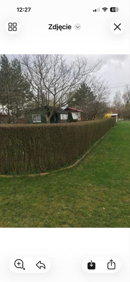 Działka rod Wrocław Sołtysowice. Zdjęcie 2